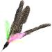onebarleycorn Cat Toys Feather Refills for Cat Wand Toys Interactive include Replacement Feathers 1 Count (Pack of 1) - Buy Online on GoSupps.com