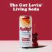FHIRST Living Soda - Cherry Vanilla | Probiotic/Prebiotic Soda for Gut Health | Natural Zero Sugar or Sweetener | Drink for Gut Health | 12 x 330ml pack - Buy Online on GoSupps.com