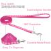Tonyg-P 2-Piece Puppy Neck Strap & Leash Set | Adjustable Soft Nylon Dog Collar for Small to Medium Dogs - Buy Online on GoSupps.com