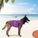Kickred 2 Pack Summer Dog Shirts - Fast-Drying Sleeveless Clothing for Medium Dogs - Unique Patterns in Light Blue & Fuchsia - Buy Online on GoSupps.com