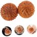FRCOLOR 10 STK Durian-Shaped Hand Massage Balls | Wooden Acupuncture Massage Device | Yoga Body Fitness Roller - Buy Online on GoSupps.com