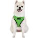 Puppia Soft Harness II - Comfortable Adjustable Dog Harness for Small & Medium Dogs - Puha1770grs - Green - Buy Online on GoSupps.com