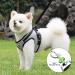 Cat Harness and Lead Set Adjustable Cat Harness Escape Proof Cat Kitten Harness for Walking Breathable Cat Harness with Reflective Stripe and Leash Set for Small Medium Cats Pets (S) - Buy Online on GoSupps.com