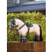 Buy LeMieux Toy Pony Martingale - Brown/Black Leather Toy Accessory | One Size | International Shipping Available - Buy Online on GoSupps.com