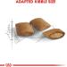 ROYAL CANIN Ageing 12+ Cat Food 2 kg 2 kg (Pack of 1) - Buy Online on GoSupps.com