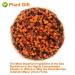 Buy Organic Dried Sea Buckthorn Berries 120g - High B12 All-Natural No Additives Superfood for International Shipping - Buy Online on GoSupps.com