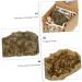 FOMIYES Cornucopia Ore Meditation Crystals and Stones Agate Stone Plating Agate Mineral Decorative Stone Golden 5.00X3.80X3.00CM - Buy Online on GoSupps.com