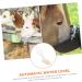TOVINANNA Tool Trough Livestock Tank Goat Ball Valve Dog Automatic Pig Humidifier Sheep Fill Cattle 20.5x5.5cm As Shown - Buy Online on GoSupps.com