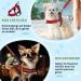 Eyein No-Pull Dog Harness & Leash - Soft Padded Reflective Adjustable for Puppies Small & Large Dogs Cats - XXS Red - Buy Online on GoSupps.com