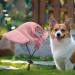 Buy Predolo Pet Sports Hat | Fashionable Dog Solar Hat with Ear Holes | Sun Protection for Small Dogs | Pink XS | Shop Now! - Buy Online on GoSupps.com