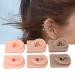 3pcs Silicone Ear Models for Ear Massage Practice - Ideal for School and Hospital Teaching Display - Buy Online on GoSupps.com