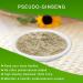 DABC OAK LAND Panax notoginseng Powder sanqi 1LB/Bag - Buy Online on GoSupps.com