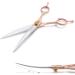Dream Reach 7 Professional Pet Grooming Curved Scissors - Japanese Steel Shears for Dog, Cat & More (7 inch) - Buy Online on GoSupps.com