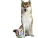 SpongeBob SquarePants Plush Dog Toys - SpongeBob & Gary Characters - Dog Chew, Rope, Tug & Squeaky Toys - Buy Online on GoSupps.com