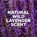 Tom's of Maine Lavender Deodorant Stick 2.25 Oz (Pack of 2) - Natural & Long-Lasting - Buy Online on GoSupps.com