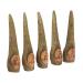 DIKACA Fake Witch Fingers Skeleton Fingers Halloween Finger Extension 5pcs False Nail Set The Witch Cosplay Plastic Witch Nails Halloween Witch Fingers Halloween Nail Claws As Shown 3 9.5x2.5cm