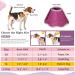 VAVOPAW SCHTECHRIFE Adjustable Protective Collar for Dogs & Cats - Breathable Leash-Proof & Recyclable Neckband - Buy Online on GoSupps.com