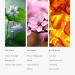 Aroma360 Fragrance Oil - Fragrance Oil Inspired by Miami Heat Hotel - Scent Includes Italian Mandarin, Peach Blossom & Patchouli - Heat Elite, 50mL/1.7 fl oz - Buy Online on GoSupps.com