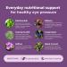 Eye Pressure Support Vitamins with Bilberry Extract - Daily Optic Nerve Supplement - 60 Capsules - Buy Online on GoSupps.com