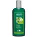 Logona - 1003shanorm - Hair Care and Beauty - Normalizing Shampoo with Organic Lemon Balm - 250 ml