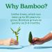 Caboo Tree Free Bamboo Paper Towels - Earth Friendly Sustainable Kitchen Paper Towels - 6 Rolls, 2 Ply Sheets - 6 Count - Buy Online on GoSupps.com