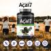 Acai7 Acai Berry Capsules - 20 000mg QCE - 100x Extra Strength Acai Extract Supplement A Natural Source of Antioxidant Non-GMO Vegan Gluten-free Dairy and Soy free (200 Count) - Buy Online on GoSupps.com