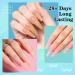 AIMEILI Builder Gel Kit - 6 Colors 15ml, Nail Extension & Acrylic Gel Polish Set | UV LED Builder Gel for Nail Enhancement - Gift Set - Buy Online on GoSupps.com