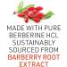 Natural Factors WellBetX Berberine 500 mg - 120 Vegan Capsules for Blood Sugar Support - Buy Online on GoSupps.com