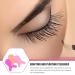 Milists 40 Pack Eyelash Lifting Accessories - Transplant Brush Lash Pads & Comb for Stunning Eyelashes - Buy Online on GoSupps.com