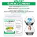 VitaDiet Garcinia Cambogia Green Coffee Extract: Thermogenic Fat Burner for Weight Management & Appetite Control - Buy Online on GoSupps.com