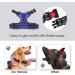 Phoepet Royal Blue XS Dog Harness - No Pull Reflective Adjustable with Front Clip & Handle | 2 Metal Rings & 3 Buckles - Buy Online on GoSupps.com