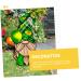 Milisten Dwarf Card Outdoor Sign St Patrick Gnome Yard Sign Patrick Garden Decoration During The Day Props - Buy Online on GoSupps.com