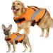 Alagirls Rescue vests for dogs for dogs Ripstop Dog Lifeguard Lansbureau for dogs safety rescue vest for dogs aladlj003 orange XL XL: 62-84cm (chest circumference) Orange Orange