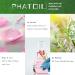 Premium Grade PHATOIL Spearmint Essential Oil - 30ML for Aromatherapy and Diffusers - Buy Online on GoSupps.com
