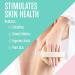 Cellulite Reduction & Lymphatic Drainage Dry Body Brush - Exfoliating Shower Scrubber with Soft Massage Nodules for Smooth Skin - 100% Natural Bristle Brush - Buy Online on GoSupps.com