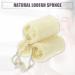 Shop VOCOSTE 3 Pcs Natural Loofah Sponge | Exfoliating Body Shower Sponges | Hang & Clean | Beige 3.94 - Buy Online on GoSupps.com