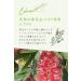 Argital Niaouli Cream 75ml - Natural Soothing Skincare | International Shipping Available - Buy Online on GoSupps.com