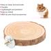 Round Wooden Bird Seating Board - Ribballs Perch Platform for Parrots & Nymphensittich - 10cm Cage Accessory - Buy Online on GoSupps.com
