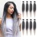 8 Packs/Lot EZ Braid 26 inch Professional Pre Stretched Braiding Hair Yaki Texture Braiding Hair for Crochet Hair Braids Long Free Synthetic Fiber Hair Extensions (#T1B/Silver) 26 Inch (Pack of 8) #T1B/Silver