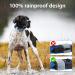 MASBRILL Light Up Dog Collar USB Rechargeable & Waterproof - Blue LED Collar for Small Medium Large Dogs - 3 Flashing Modes, Adjustable Size (M 38-50cm) - Super Bright Visibility in the Dark - Buy Online on GoSupps.com