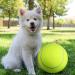 LUOEM Large Tennis Ball for Pets - 9.5 Inch Outdoor Sports Ball for Dogs | Durable & Fun Playtime - Buy Online on GoSupps.com