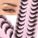 False Eyelashes Wispy Natural Fox Eye Lashes Look Like Lash Extension Angel Wing Lashes 10 Pairs 15mm Cat Eye Lashes Faux Mink Lashes Multipack by FANXITON 15mm-Fox Eye Lashes