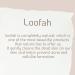 European M6 Loofah Sponge Exfoliating Body Scrubber - Natural Egyptian Lufas, 2 Pack - Buy Online on GoSupps.com