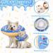 Halinuia Donut Halskrause Cat Collar | Adjustable Soft Anti-Bite Protective Collar for Kittens & Puppies - Post-Surgery & Injury Recovery (Blue M) - Buy Online on GoSupps.com