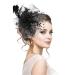 Anseom Ladies Feather Beak Clip Mesh Feather Fascinator Bridal Headpiece Party Headwear Brooch Pin Hair Accessory for Weddings Races Royal Ascot (Black)
