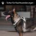 Shop POPOT No Pull Dog Harness - Front Reflective Pet Vest for Training & Walking - Black Large - Buy Online on GoSupps.com