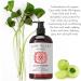 Laritelle Organic Hair Growth Conditioner Fertile Roots 16 oz with Organic Ginger Rosemary & Clove | Stimulates Scalp Strengthens Follicles Softens & Restores Shine | Vegan Sulfate-Free. USA Made - Buy Online on GoSupps.com