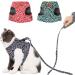 Buy Etopars Adjustable Cat Dishes & Ultra-Light Harness Vest for Kittens | International Shipping Available - Buy Online on GoSupps.com