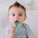 Itzy Ritzy Cutie Coolers Cacti Teethers - Water-Filled Soothing Toys for 3+ Months - Buy Online on GoSupps.com