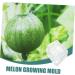 Kisangel 2pcs Fruit Shaping Mold Fruits Transparent Shaping Mold Shaper Mold Melon Mold Vegetable Small Fruit - Buy Online on GoSupps.com